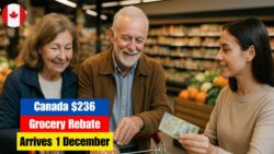Canada’s $236 Grocery Rebate Drops on 1 December 2025 — Low-Income Families Urged to Check for Instant Cash Support